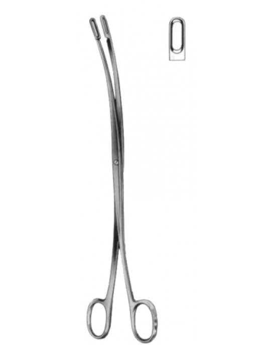 Desjardins Gall Stone Forceps 23cm/9