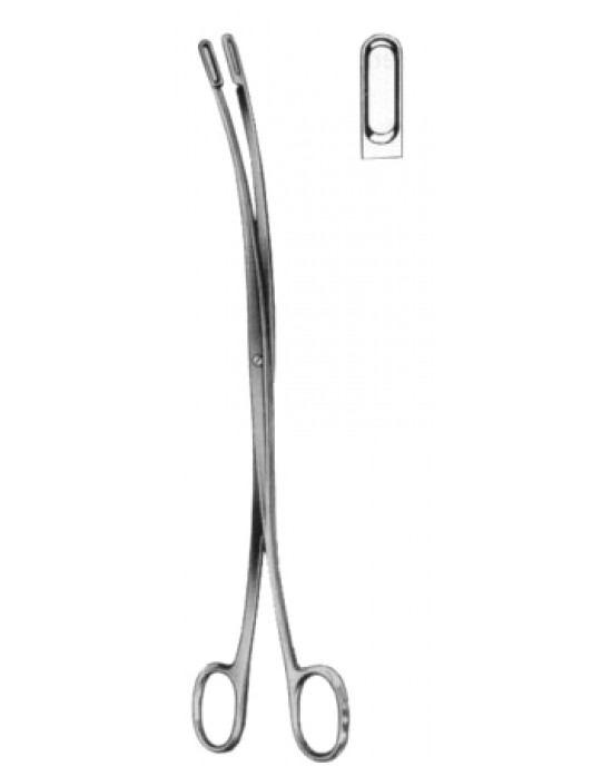 Desjardins Gall Stone Forceps 23cm/9
