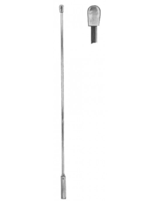 Desjardins Gall Stone Probes 28cm/11