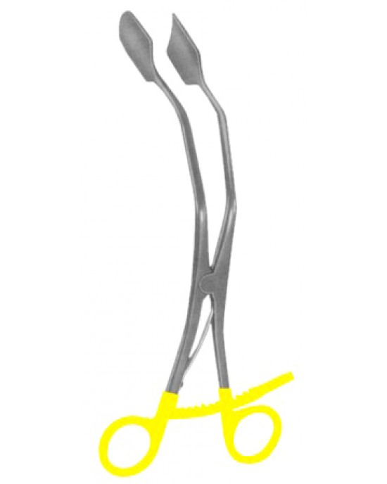 Endospeculas Lateral