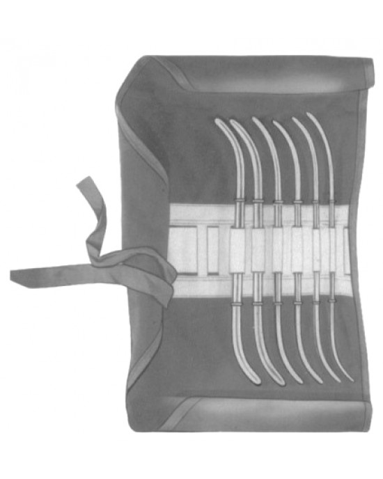 Hank Uterine Dilator set/6 with pouch