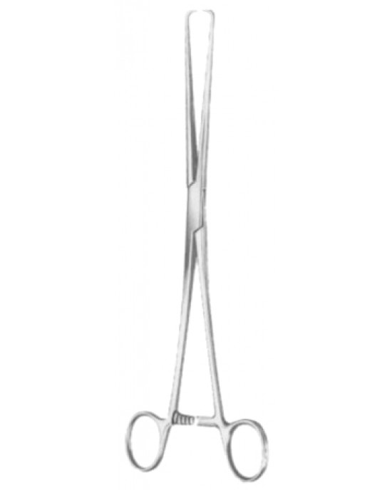 Schroeder Tenaculum Forceps BJ 25cm/10