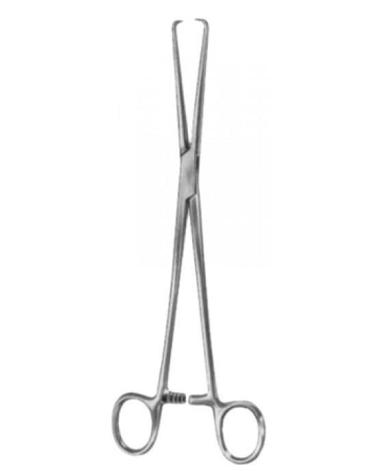 Pozzi Tenaculum Forceps BJ 25.5cm/10 1/4