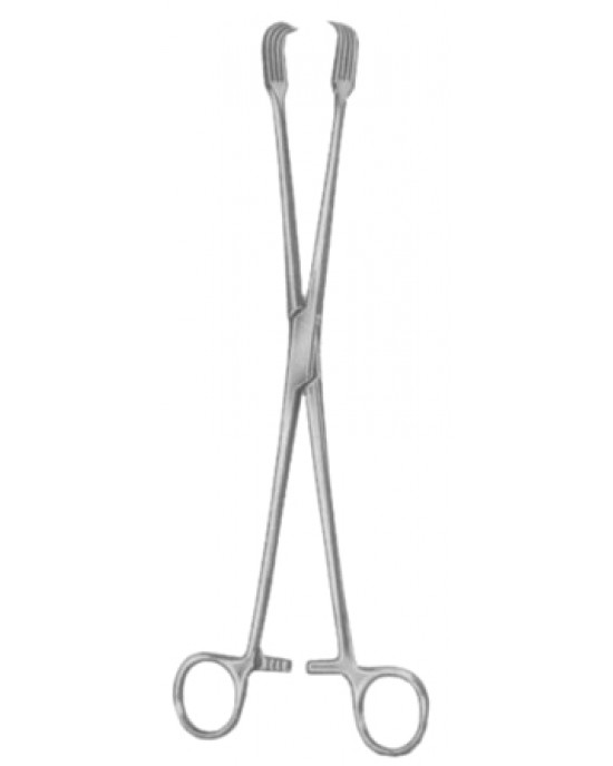 Czerny Tenaculum Forceps BJ 26cm/10 1/4