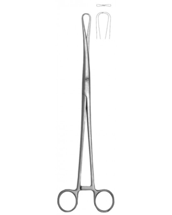 Rotunda Forcep, 27cm/10 1/2