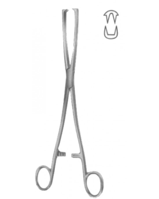 Museux Tenaculum Forceps BJ 2:2 Straight   6mm 24cm/9 1/2