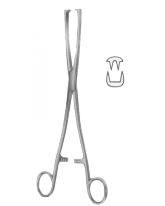 Museux Tenaculum Forceps BJ 2:2 Straight   8mm 24cm/9 1/2