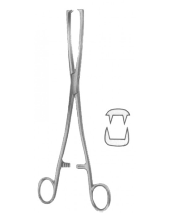 Museux Tenaculum Forceps BJ 2:2 Straight 10mm 24cm/9 1/2
