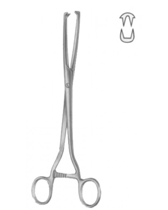 Museux Tenaculum Forceps BJ 2:2 Straight   6mm 24cm/9 1/2