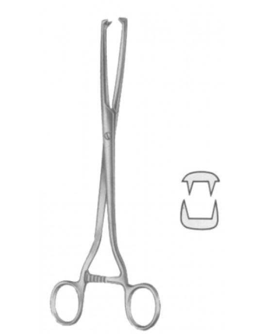 Museux Tenaculum Forceps BJ 2:2 Straight 10mm 24cm/9 1/2