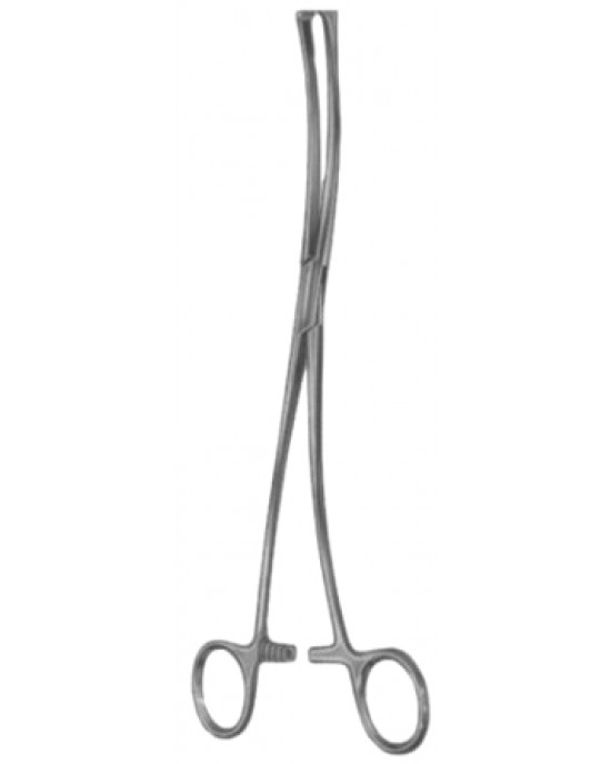 Iowa Tenaculum Forceps BJ 26cm/10 1/4