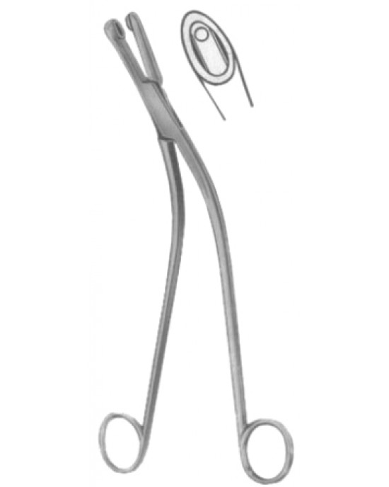 Gellhorn Cervical Biopsy and Specimen Forceps BJ 23cm/9