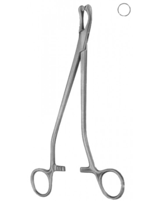 Thoms-Gaylor Cervical Biopsy and Specimen Forceps BJ   24cm/9 1/2