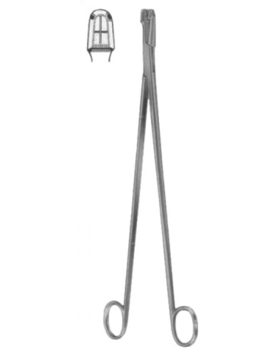 Schubert Cervical Biopsy and Specimen Forceps 23cm/8 1/4