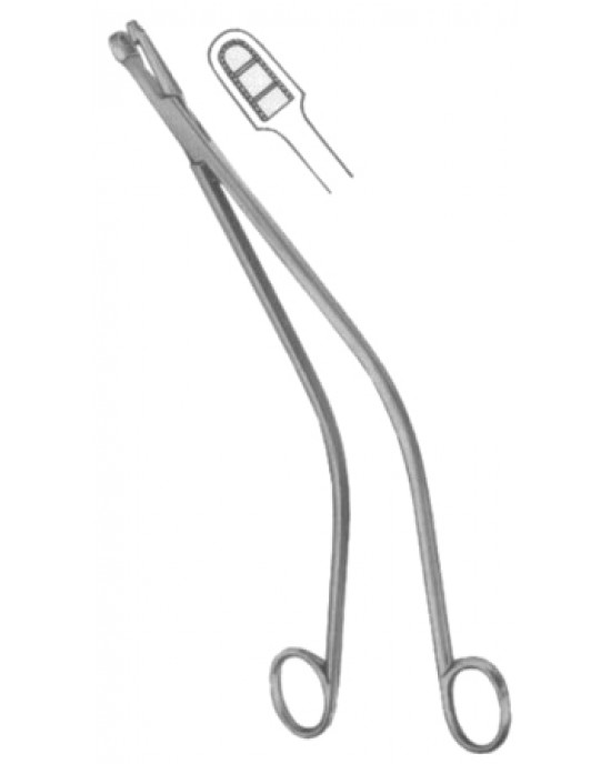 Schubert Cervical Biopsy and Specimen Forceps 26cm/10 1/4