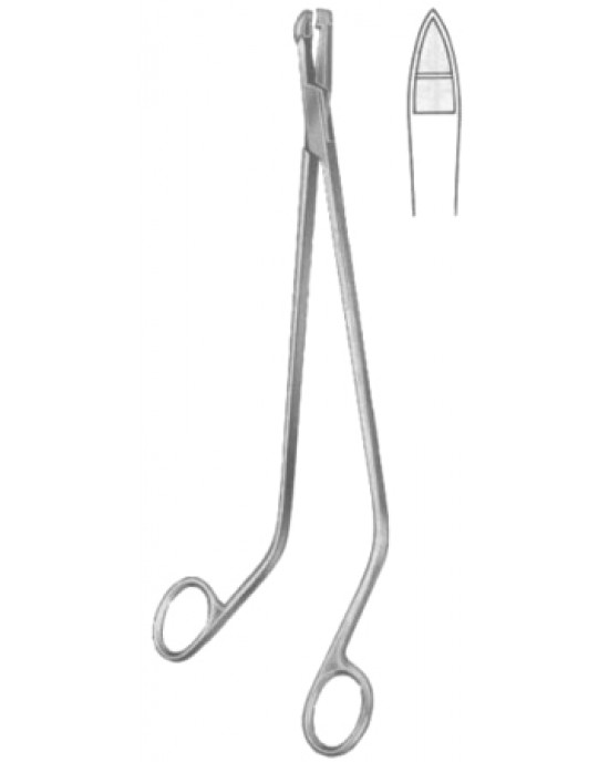Tischler Cervical Biopsy and Specimen Forceps BJ 27cm/10 1/2