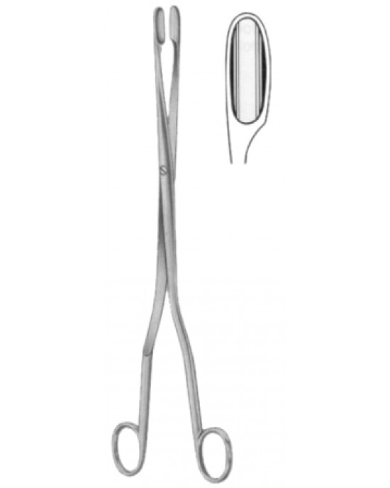 Winter Placenta Ovum Forceps SJ Straight 28cm/11