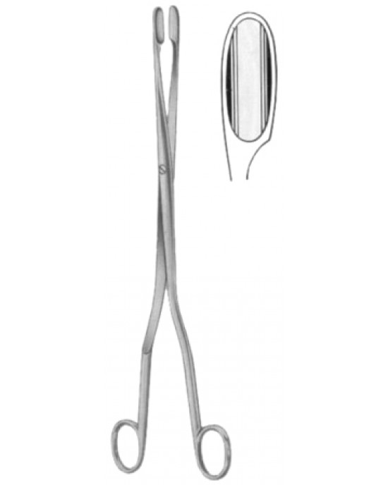 Winter Placenta Ovum Forceps SJ Straight 28cm/11
