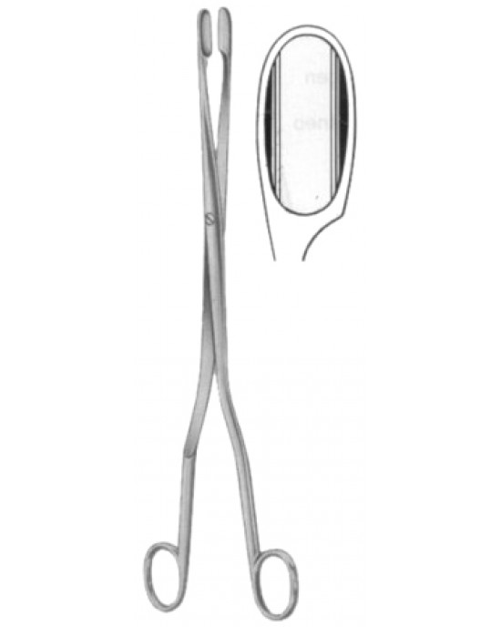Winter Placenta Ovum Forceps SJ Curved 28cm/11