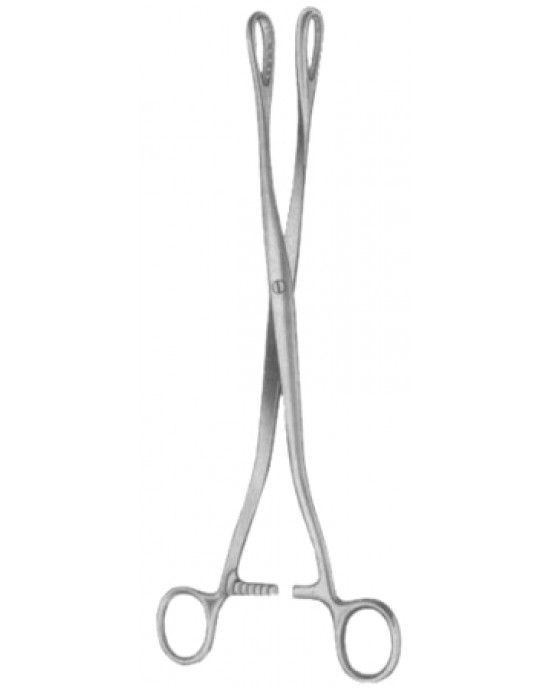 Sanger Placenta Ovum Forceps SJ Striaght 27cm/10 1/2