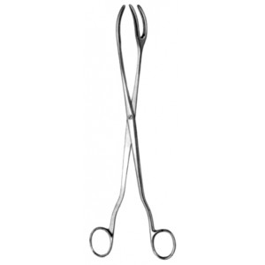 Sterilizing Fcps 1x2pr 30cm
