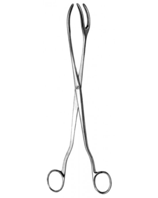 Sterilizing Fcps 1x2pr 30cm