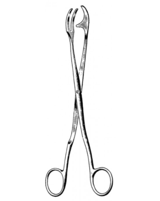 Rogge Sterilizing Fcps 23cm