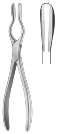 Walsham Septum Straighting Forceps 23cm/9"