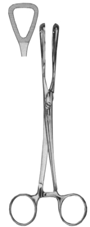Guys Tongue Depressors and Forceps 19cm/7 1/2"