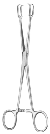 Museux Tonsil Seizing Forceps (Straight) 20cm/8"