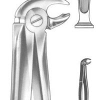 Extracting forceps english pattern fig. 22