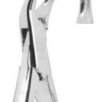 Extracting forceps American pattern Fig. 101